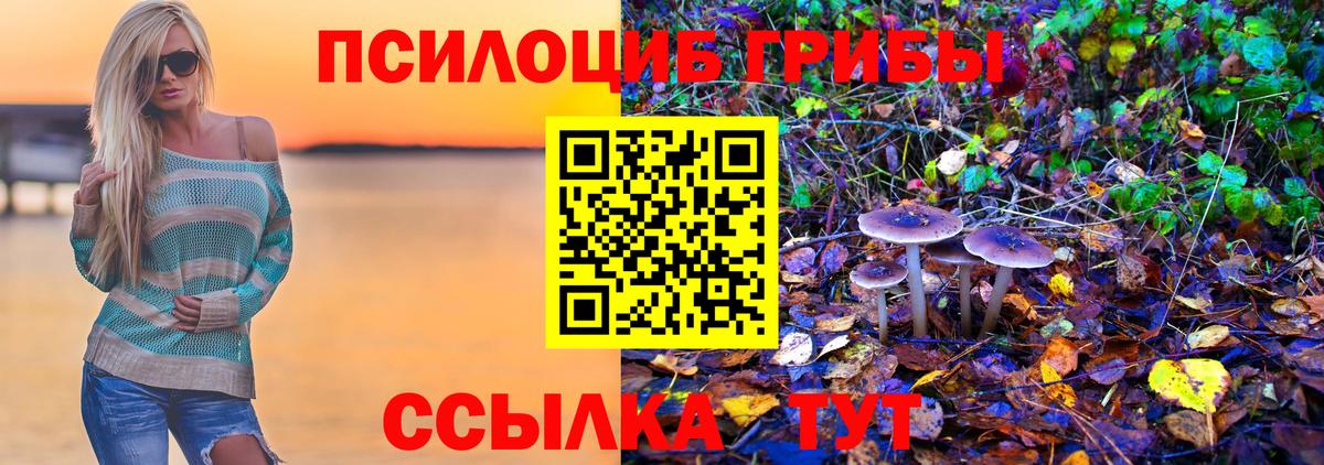 Псилоцибиновые грибы мухоморы Жуковский