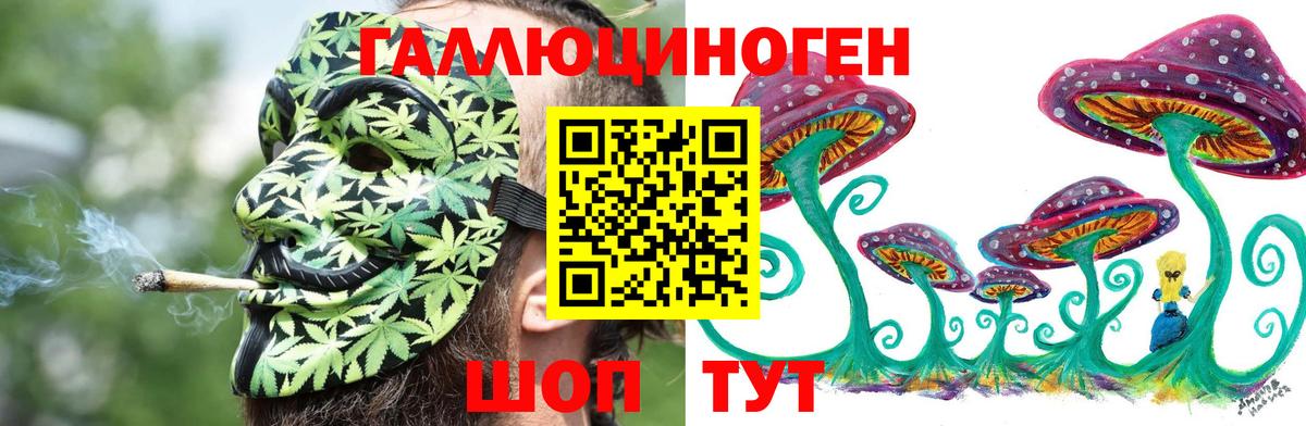 Жуковский  Галлюциногенные грибы мицелий  наркошоп  Вход с VPN 